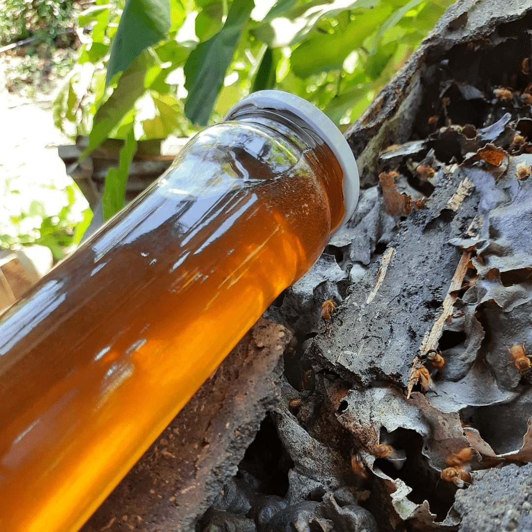 100% Pure Melipona Raw Stingless Bee Honey – 1 Fl Oz / 30 Ml Glass Dropper, Mexico