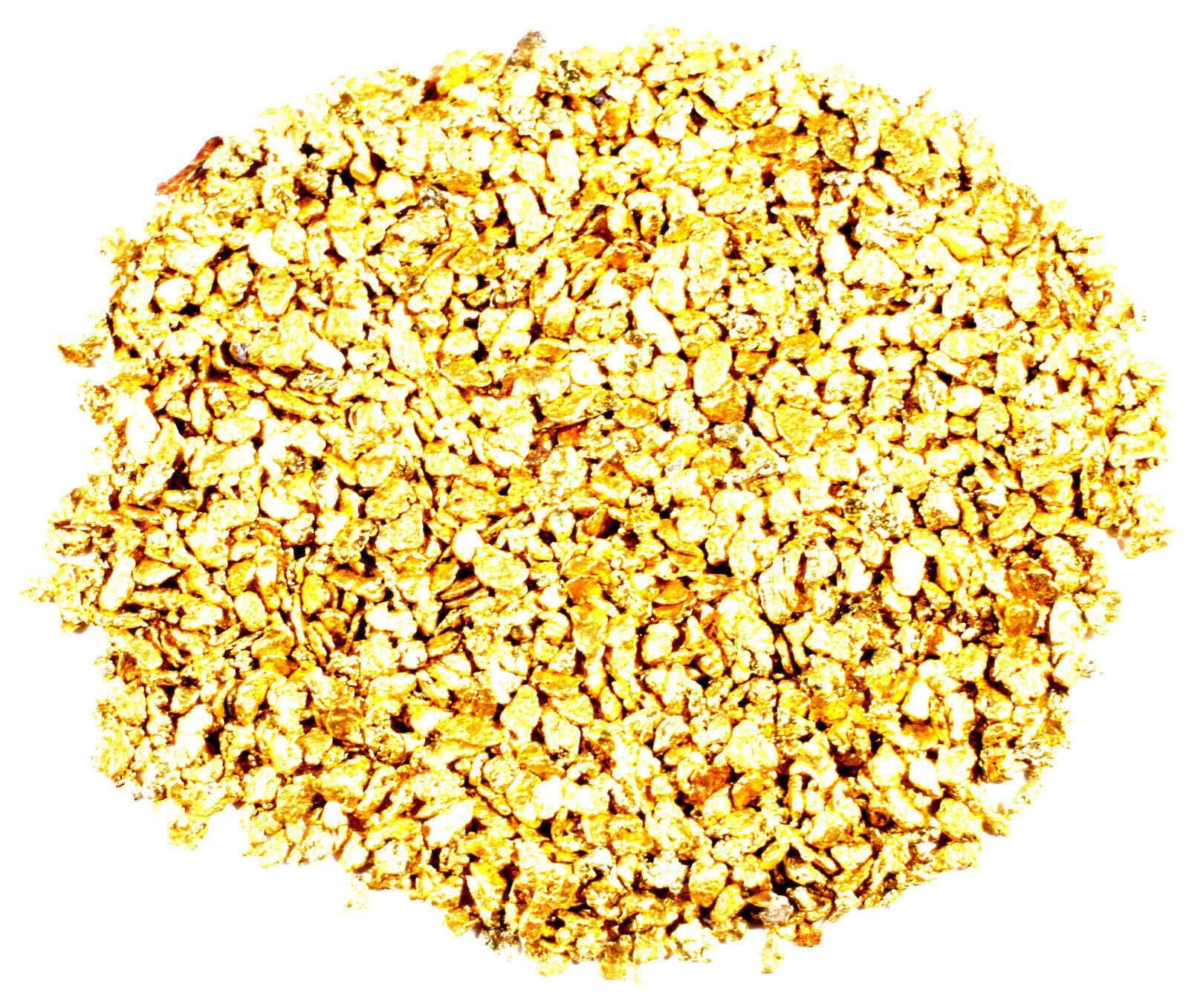 50 PIECE LOT ALASKAN YUKON BC NATURAL PURE GOLD NUGGETS (#G250) - Liquidbullion